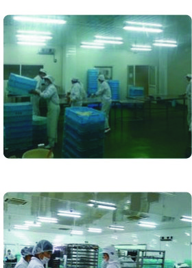 Food Cleanroom Packaging Line Personnel in Clean Suits